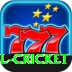 all cricket Games (Casino & Earning) Platinum vv3.0.4