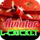 bbl cricket Apps (Tools & Injectors) Super vv2.1.5