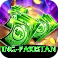 Cricket Betting Pakistan Pro Max vv1.7.9