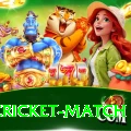 india cricket match Master Pro vv4.9.3