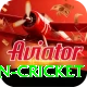india pakistan cricket Games (Casino & Earning) Super vv2.0.7