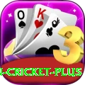 india pakistan cricket Deluxe vv5.2.9