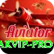 pakvip VIP vv3.2.5