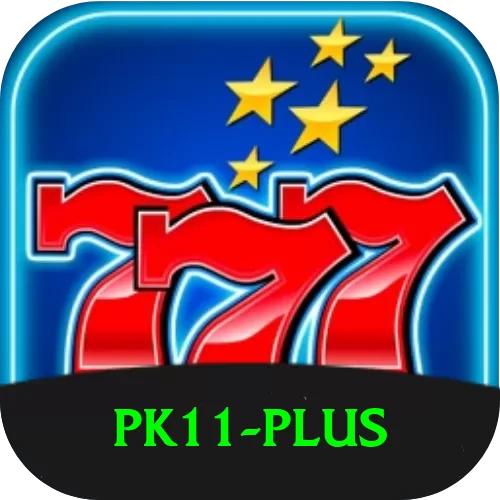 pk11 Premium v3.4.0 - 2