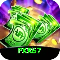 pkr67 Apps (Tools & Injectors) Deluxe vv1.1.3