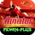 pkwin Gold Edition vv2.5.2