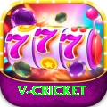 v cricket App Pro vv4.2.8