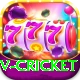 v cricket App Pro vv4.2.8