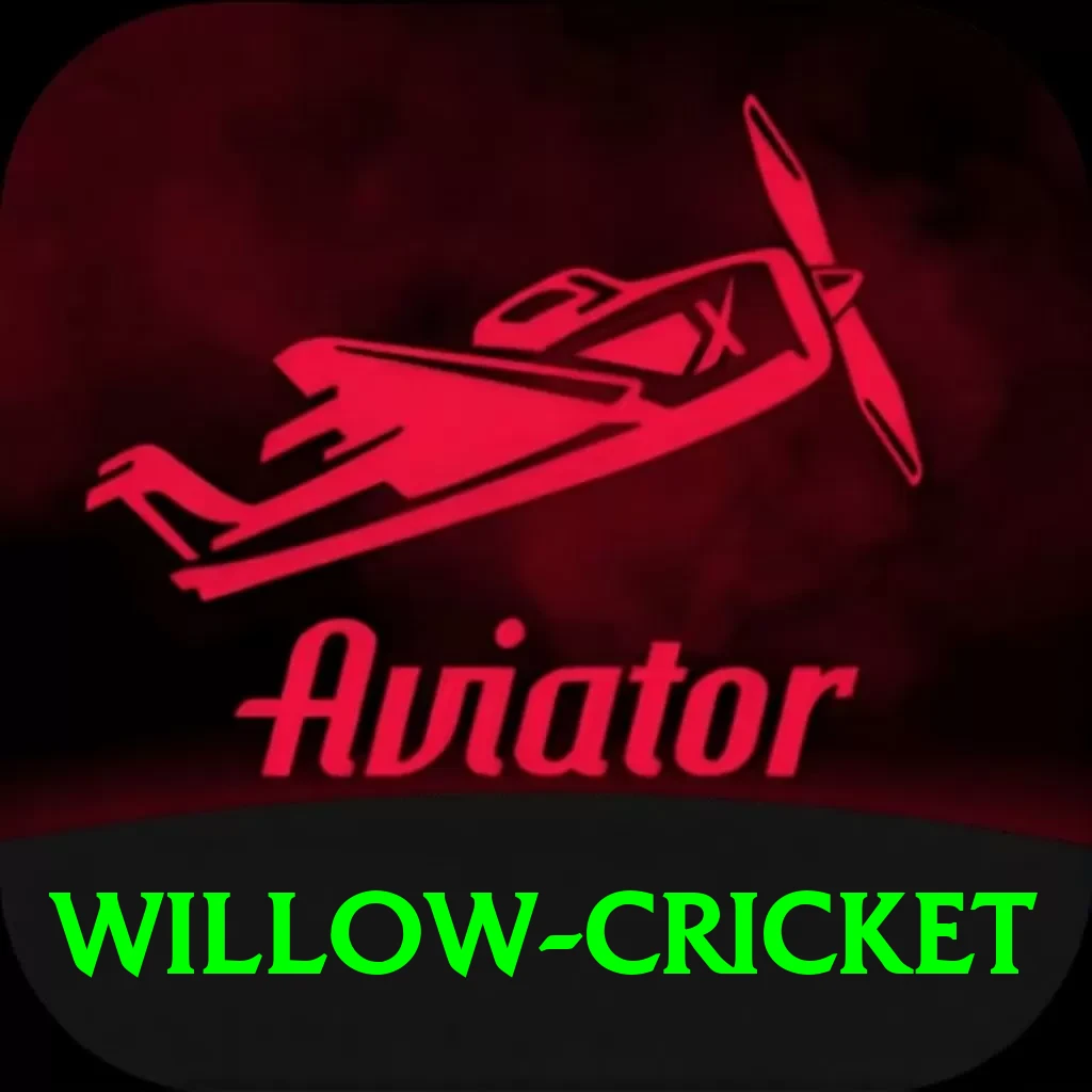 willow cricket Platinum Pro vv3.3.6 - 2