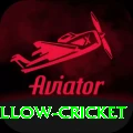 willow cricket Platinum Pro vv3.3.6