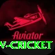 willow cricket Platinum Pro vv3.3.6
