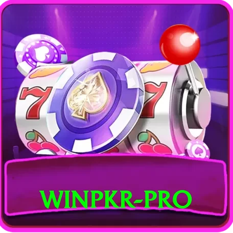 winpkr Pro Max vv2.0.8 - 2