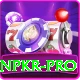 winpkr Pro Max vv2.0.8